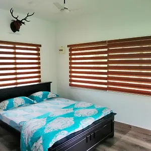 Noah's Nest Tree House , Thekkady India